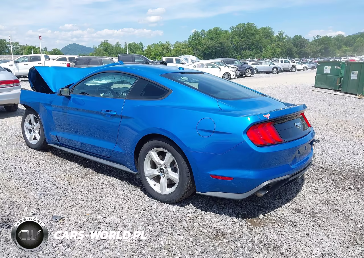 2019 Ford Mustang Ecoboost VIN:1FA6P8TH8K5204157 - 3
