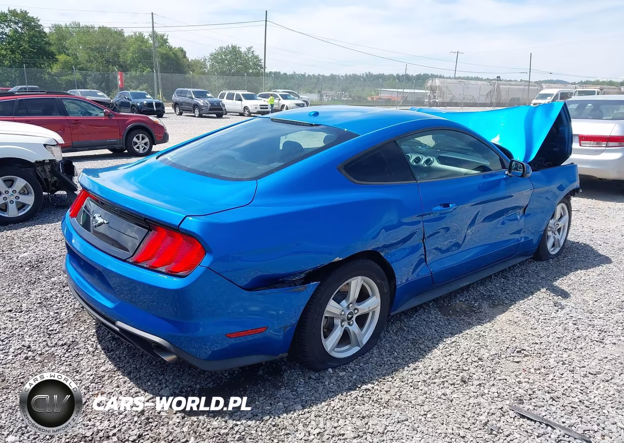2019 Ford Mustang Ecoboost VIN:1FA6P8TH8K5204157 - 4
