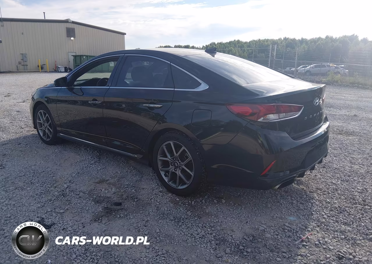 2018 Hyundai Sonata Sport 2.0T VIN:5NPE34AB2JH681657 - 3