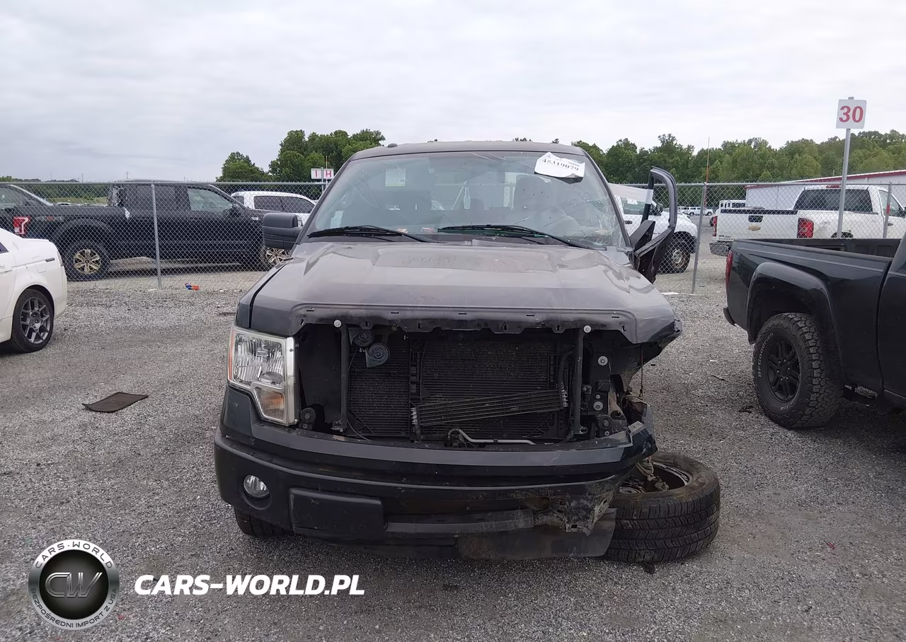 2014 Ford F-150 Stx VIN:1FTFX1CF9EFC64009 - 13