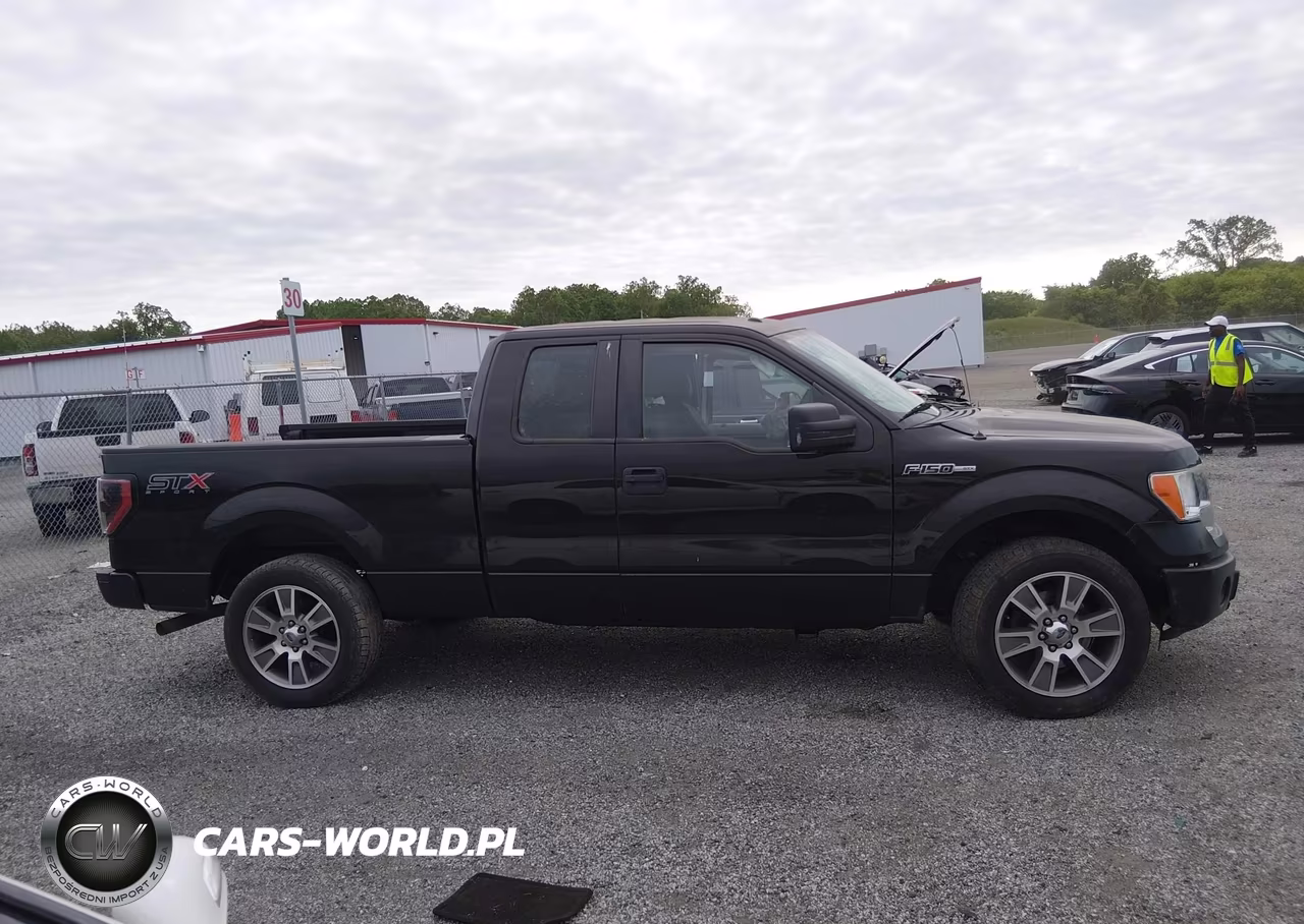 2014 Ford F-150 Stx VIN:1FTFX1CF9EFC64009 - 14