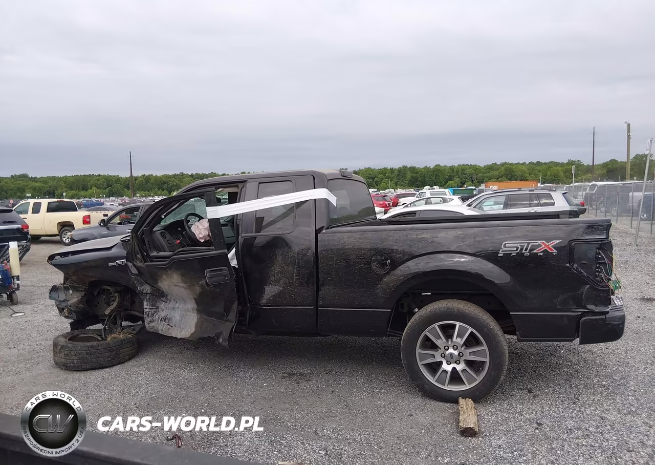 2014 Ford F-150 Stx VIN:1FTFX1CF9EFC64009 - 15