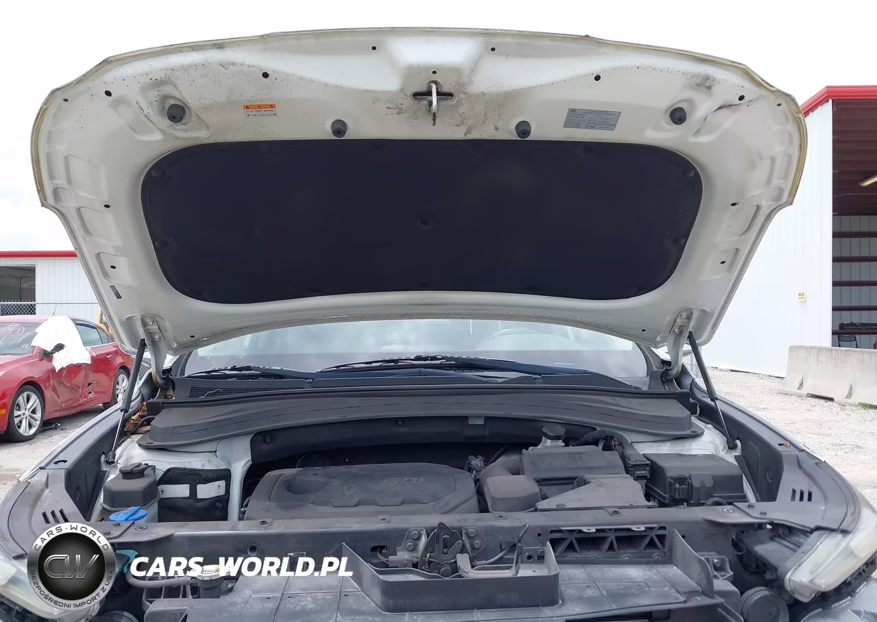 2019 Hyundai Santa Fe Sel Plus VIN:5NMS33AD0KH012591 - 10