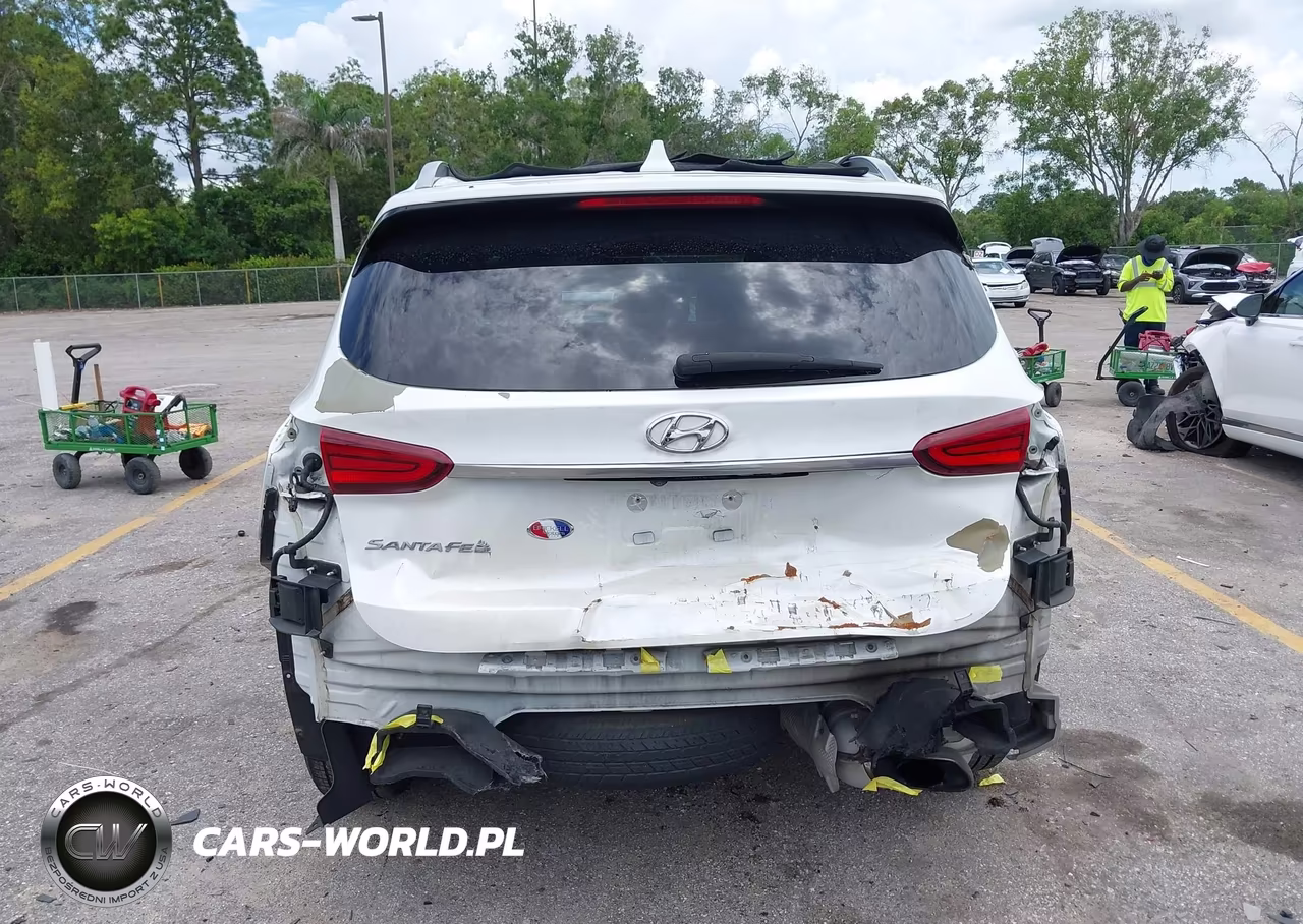 2019 Hyundai Santa Fe Sel Plus VIN:5NMS33AD0KH012591 - 17