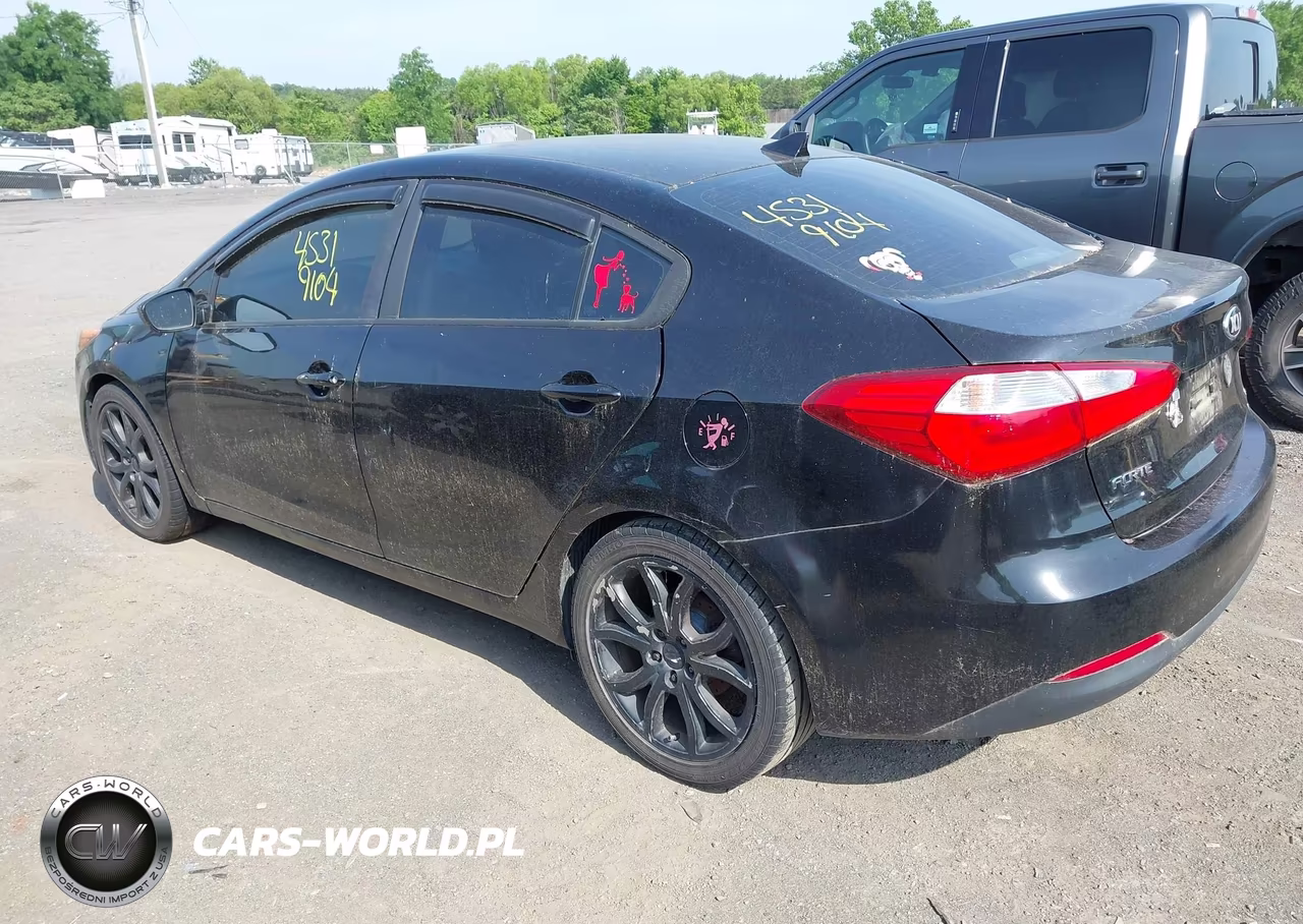 2016 Kia Forte Lx VIN:KNAFK4A68G5616361 - 3