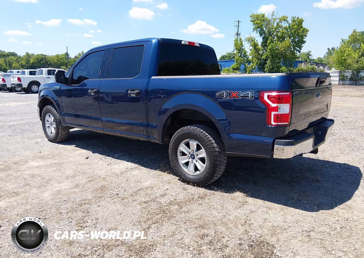 2020 Ford F-150 Xlt VIN:1FTEW1EP1LKE81773 - 3