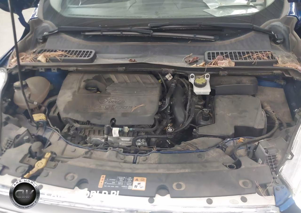 2017 Ford Escape Titanium VIN:1FMCU9JDXHUE73511 - 10