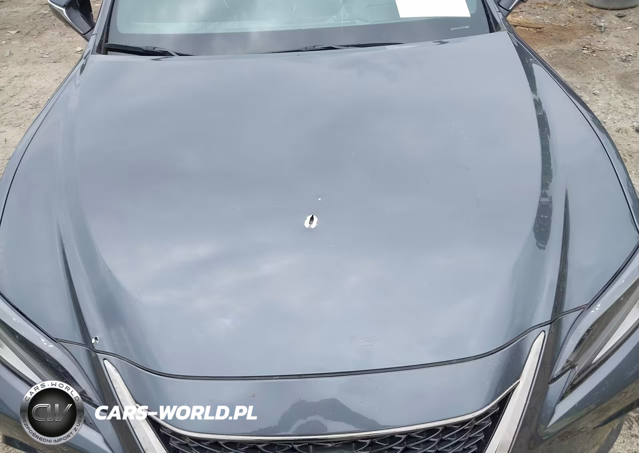 2024 Lexus Es 350 F Sport Handling VIN:58AJZ1B12RU181652 - 17