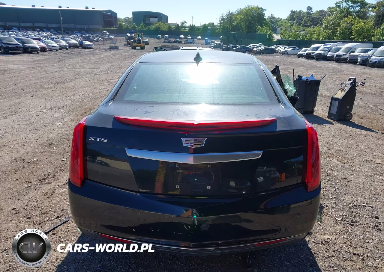2017 Cadillac Xts W20 Livery Package VIN:2G61U5S31H9193700 - 16