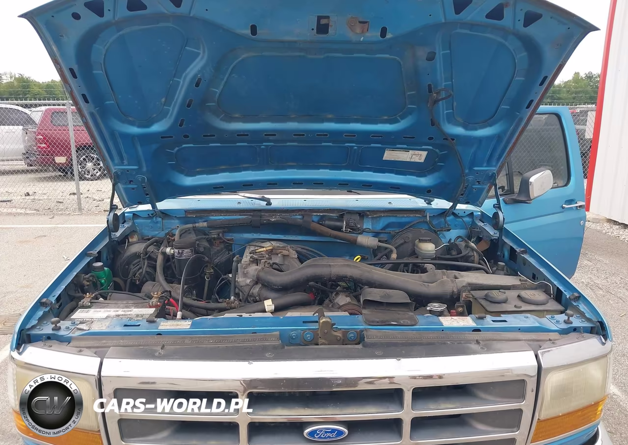 1992 Ford F150 VIN:1FTEX15N2NKA81154 - 10