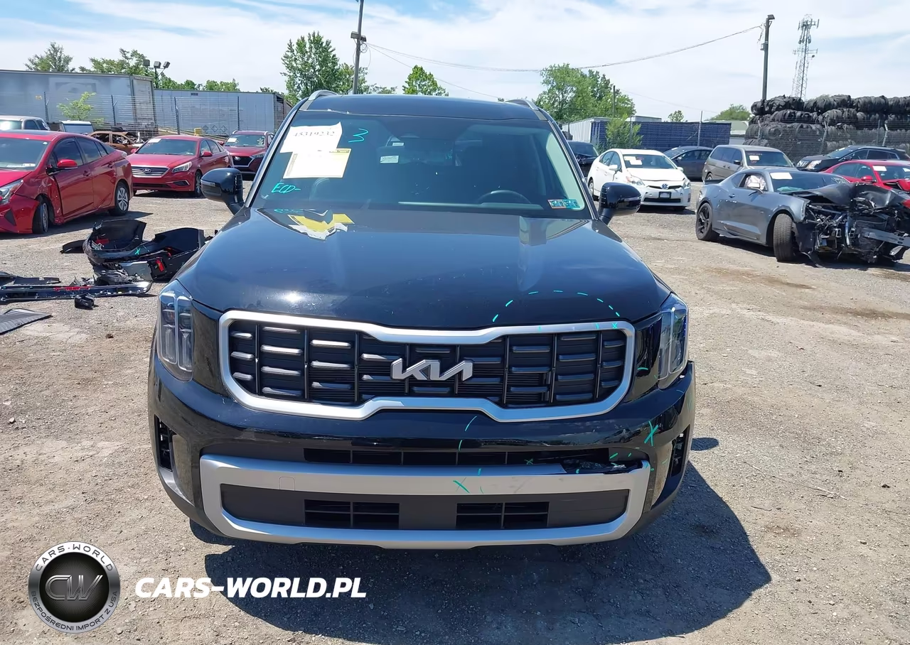 2025 Kia Telluride S VIN:5XYP6DGC4SG733329 - 13