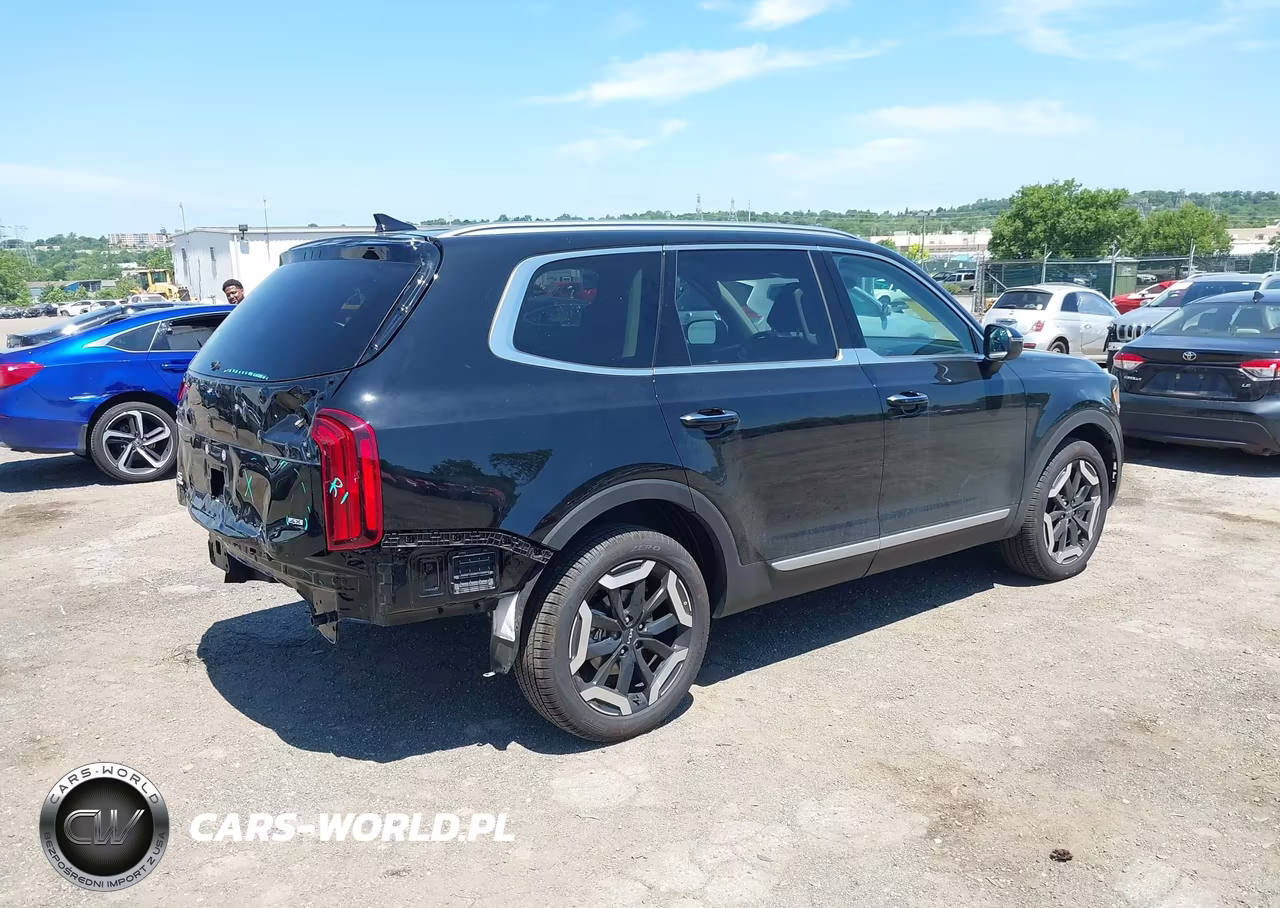 2025 Kia Telluride S VIN:5XYP6DGC4SG733329 - 4