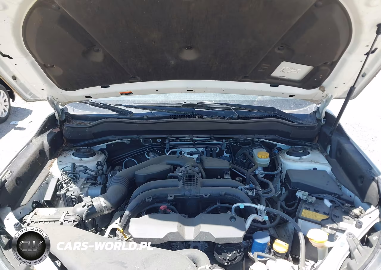 2018 Subaru Forester 2.5I Premium VIN:JF2SJAGC7JH602099 - 10