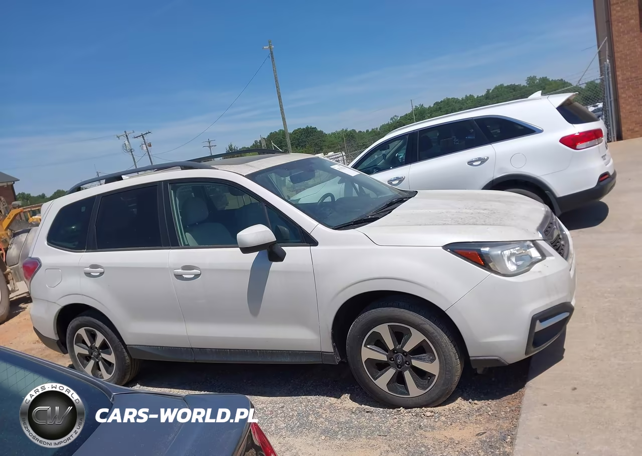 2018 Subaru Forester 2.5I Premium VIN:JF2SJAGC7JH602099 - 13