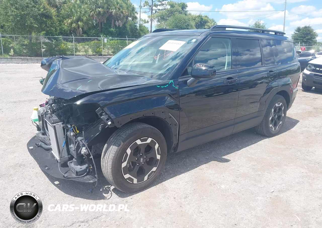 2024 Hyundai Santa Fe Sel VIN:5NMP24GL8RH005816 - 2