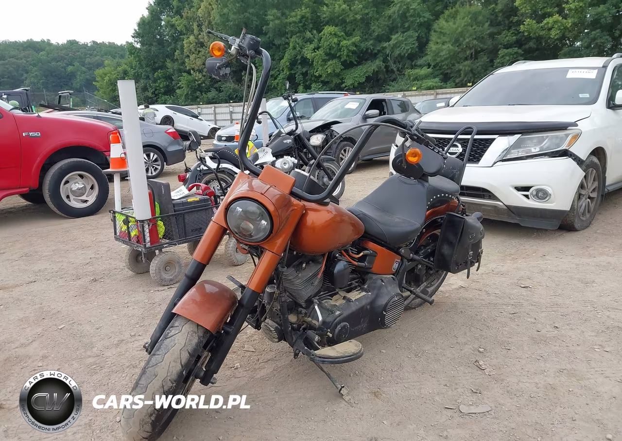 2013 Harley-Davidson Flstfb Fatboy Lo VIN:1HD1JNV14DB049694 - 2