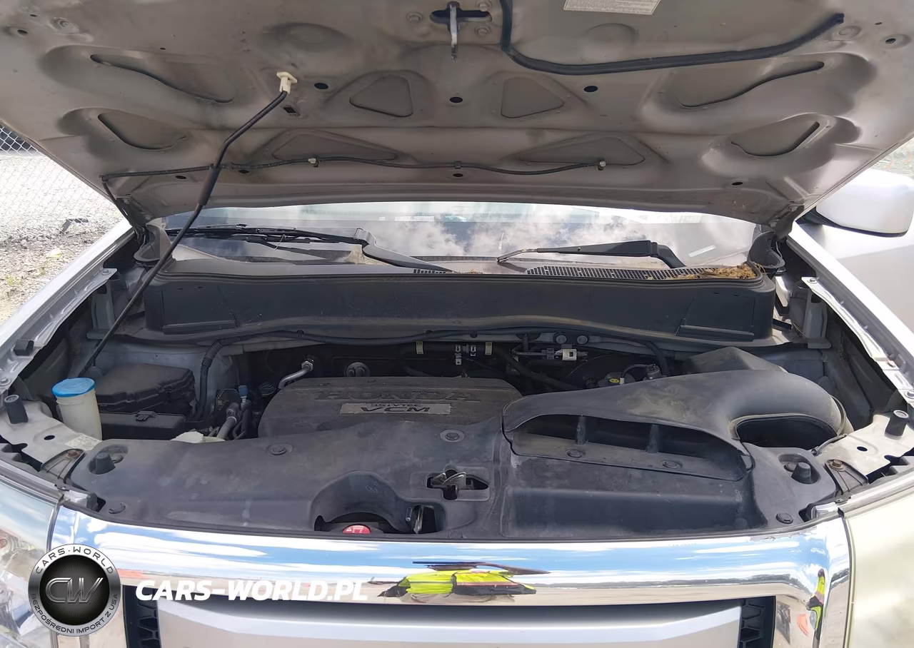 2010 Honda Pilot Ex VIN:5FNYF4H4XAB024342 - 10