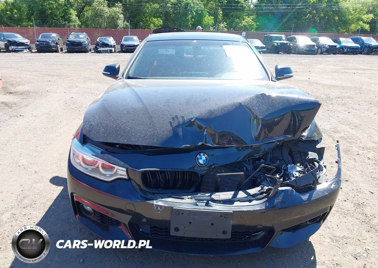 2016 BMW 428I xDrive VIN:WBA3N9C57GK248932 - 12