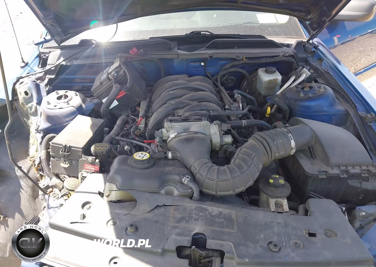 2006 Ford Mustang Gt VIN:1ZVFT82H965139782 - 10