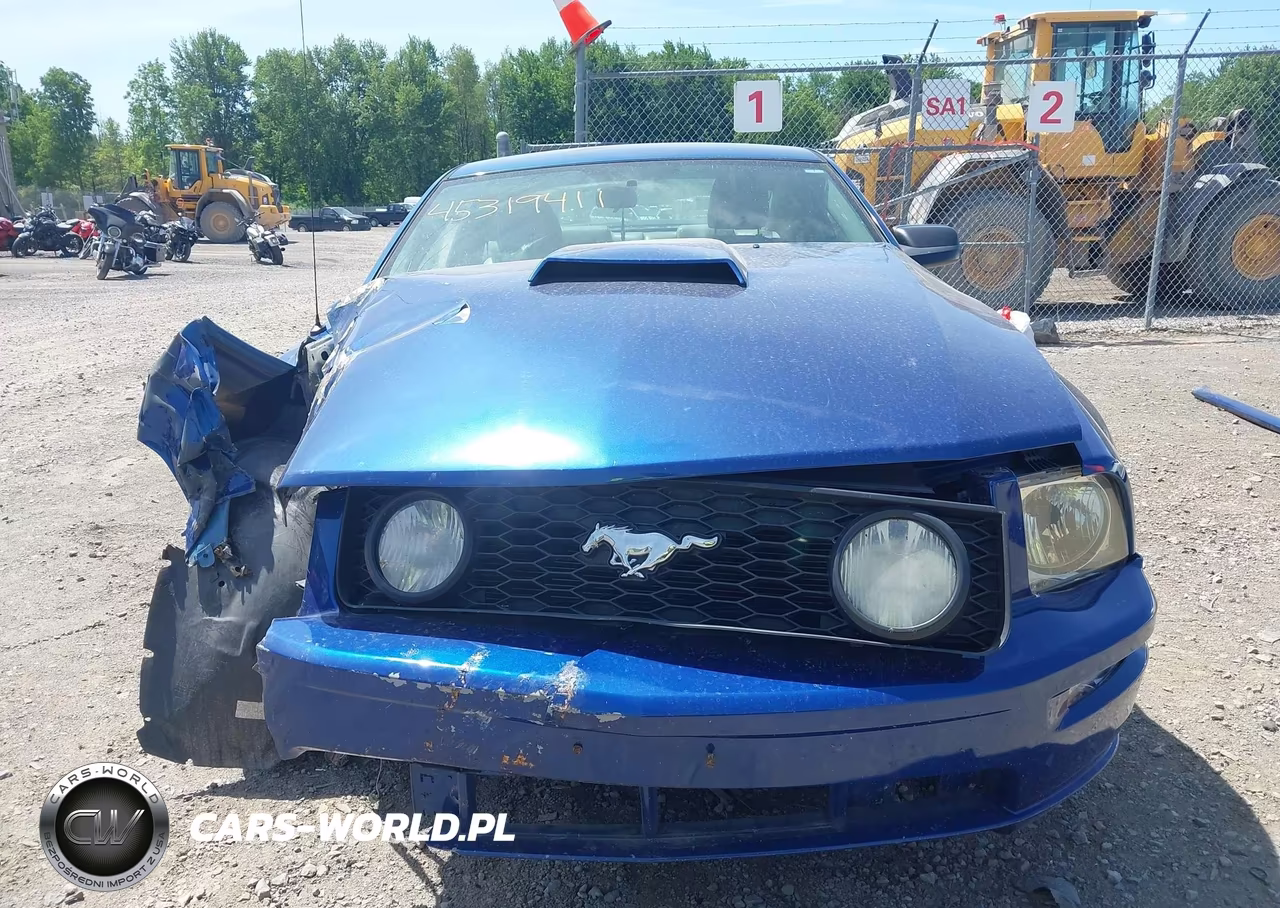 2006 Ford Mustang Gt VIN:1ZVFT82H965139782 - 13