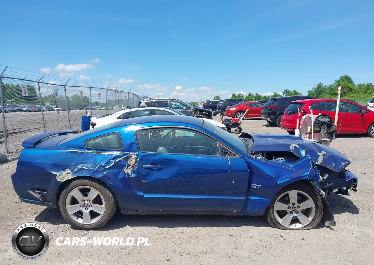 2006 Ford Mustang Gt VIN:1ZVFT82H965139782 - 14