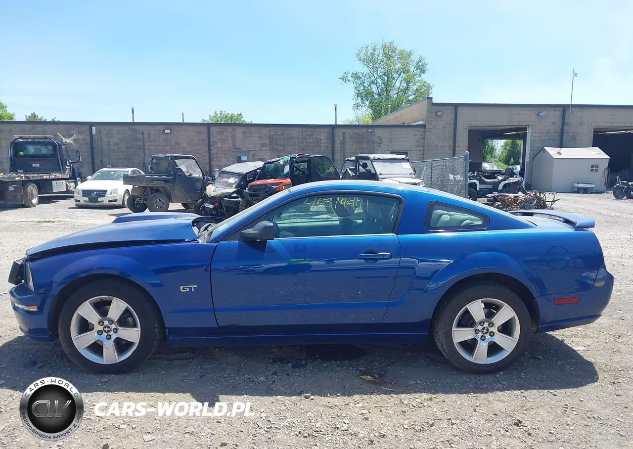 2006 Ford Mustang Gt VIN:1ZVFT82H965139782 - 15