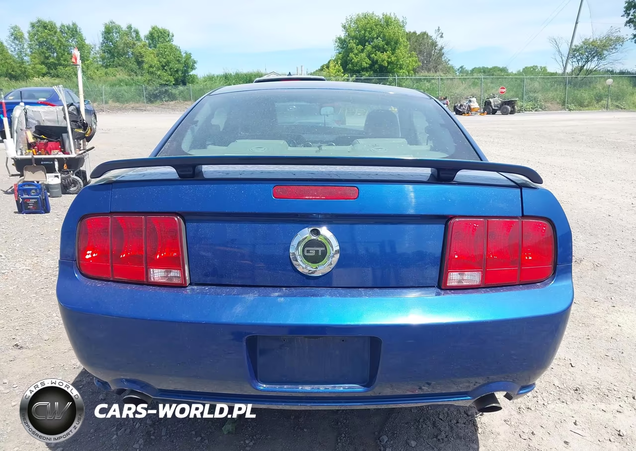 2006 Ford Mustang Gt VIN:1ZVFT82H965139782 - 17