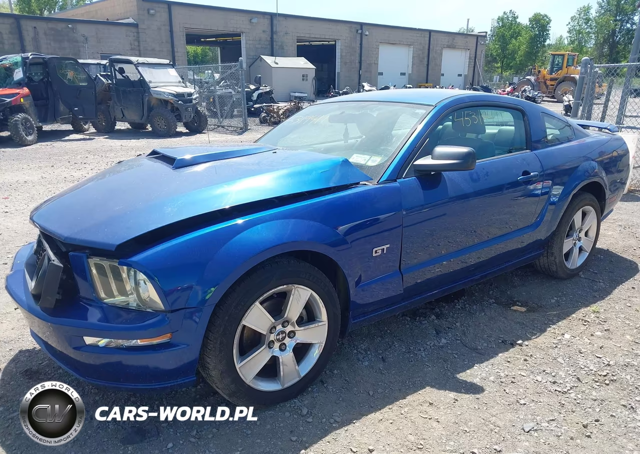 2006 Ford Mustang Gt VIN:1ZVFT82H965139782 - 2