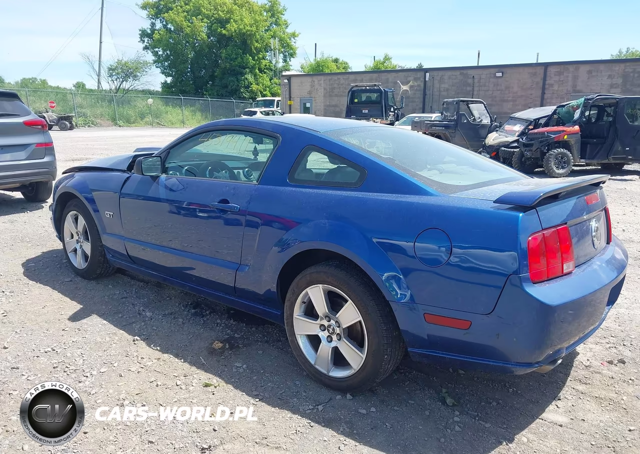 2006 Ford Mustang Gt VIN:1ZVFT82H965139782 - 3