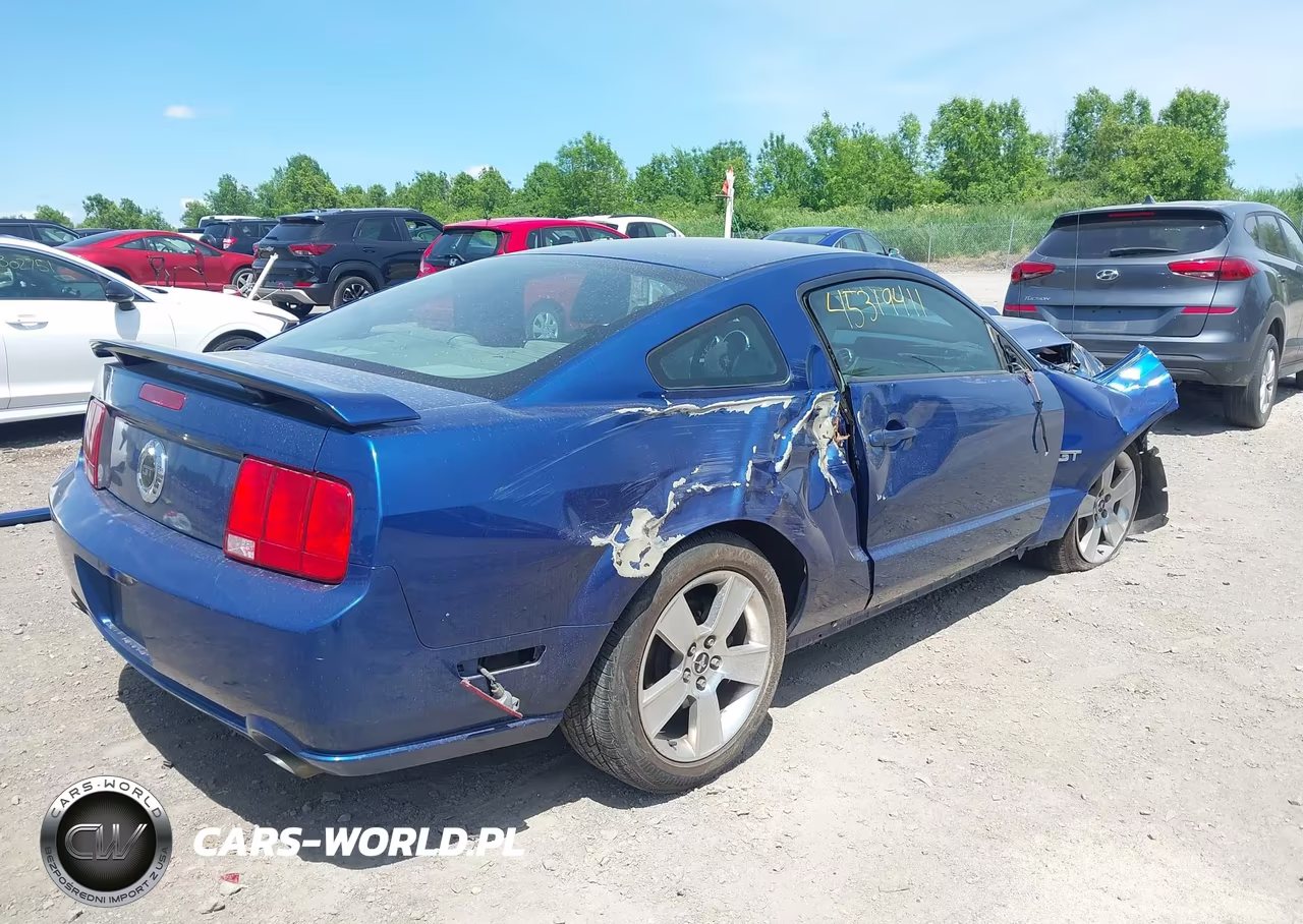 2006 Ford Mustang Gt VIN:1ZVFT82H965139782 - 4