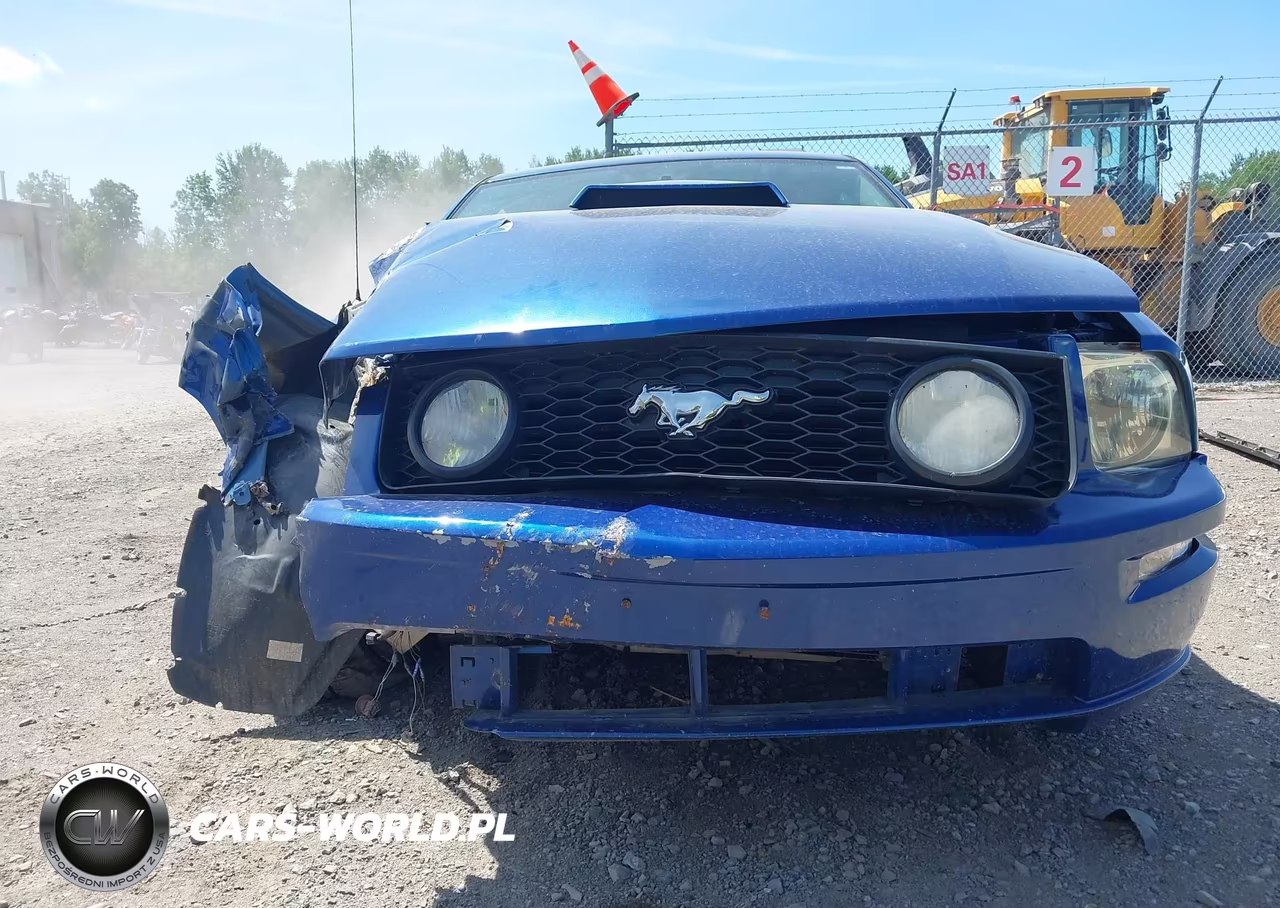 2006 Ford Mustang Gt VIN:1ZVFT82H965139782 - 6
