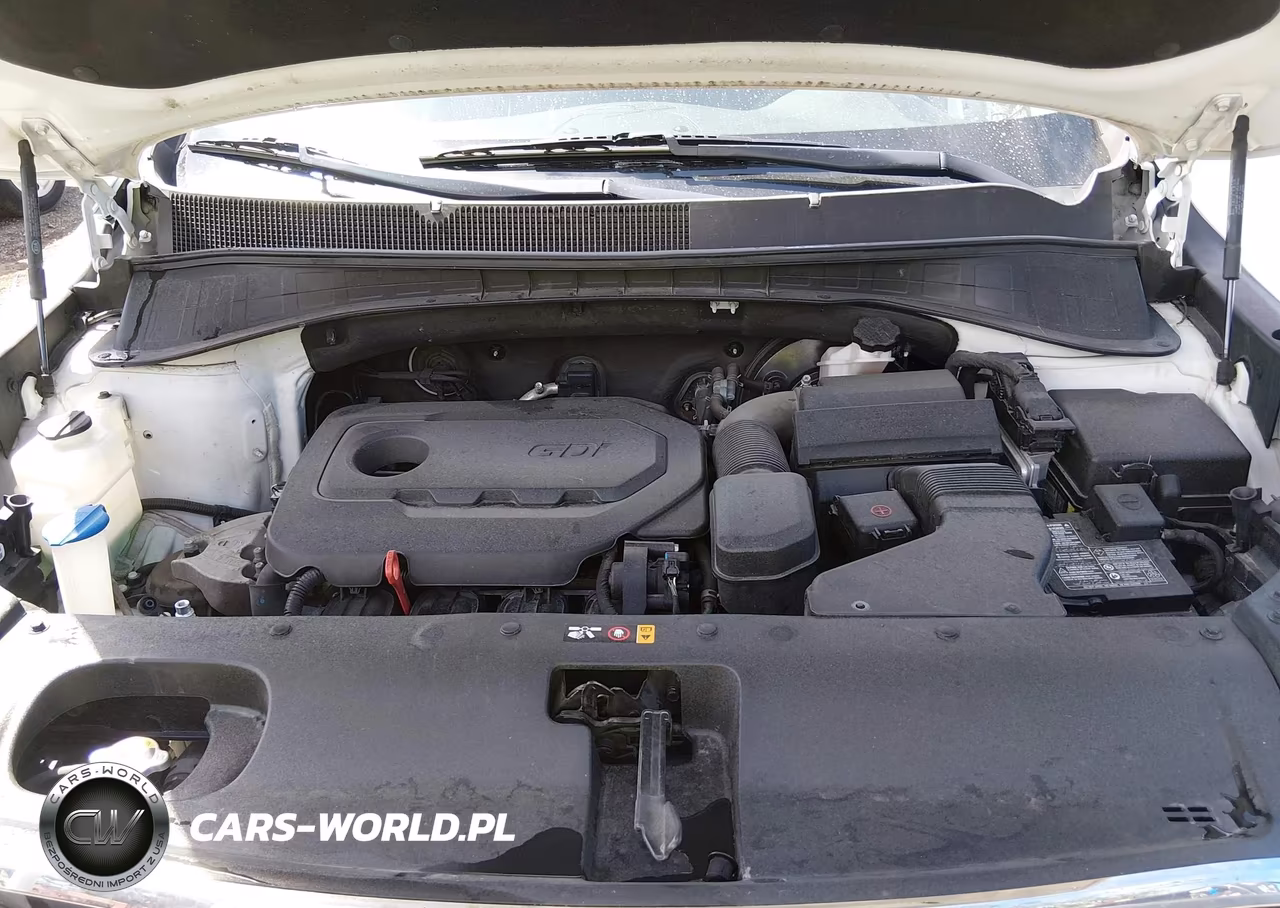 2019 Kia Sorento 2.4L Lx VIN:5XYPG4A32KG576275 - 10