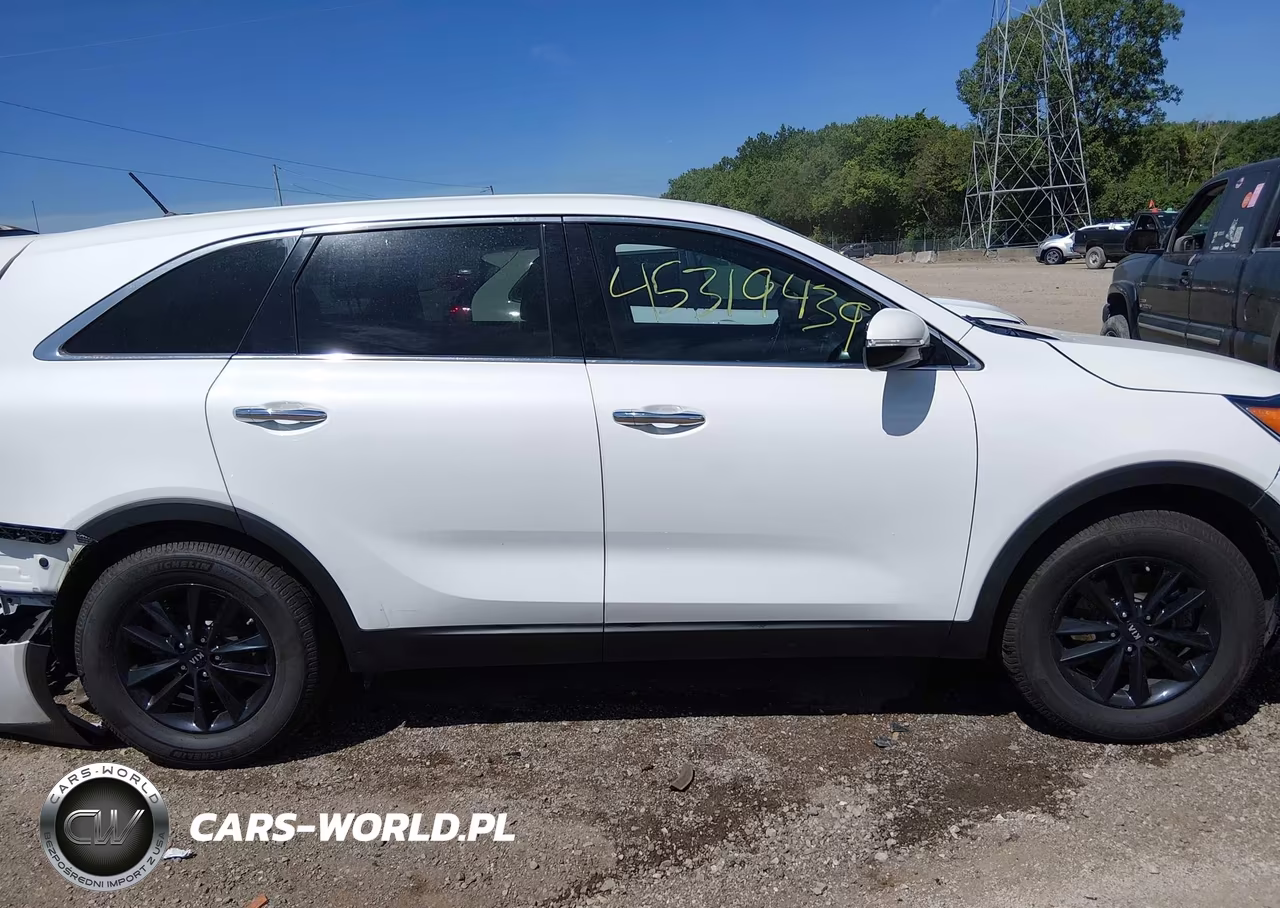 2019 Kia Sorento 2.4L Lx VIN:5XYPG4A32KG576275 - 13