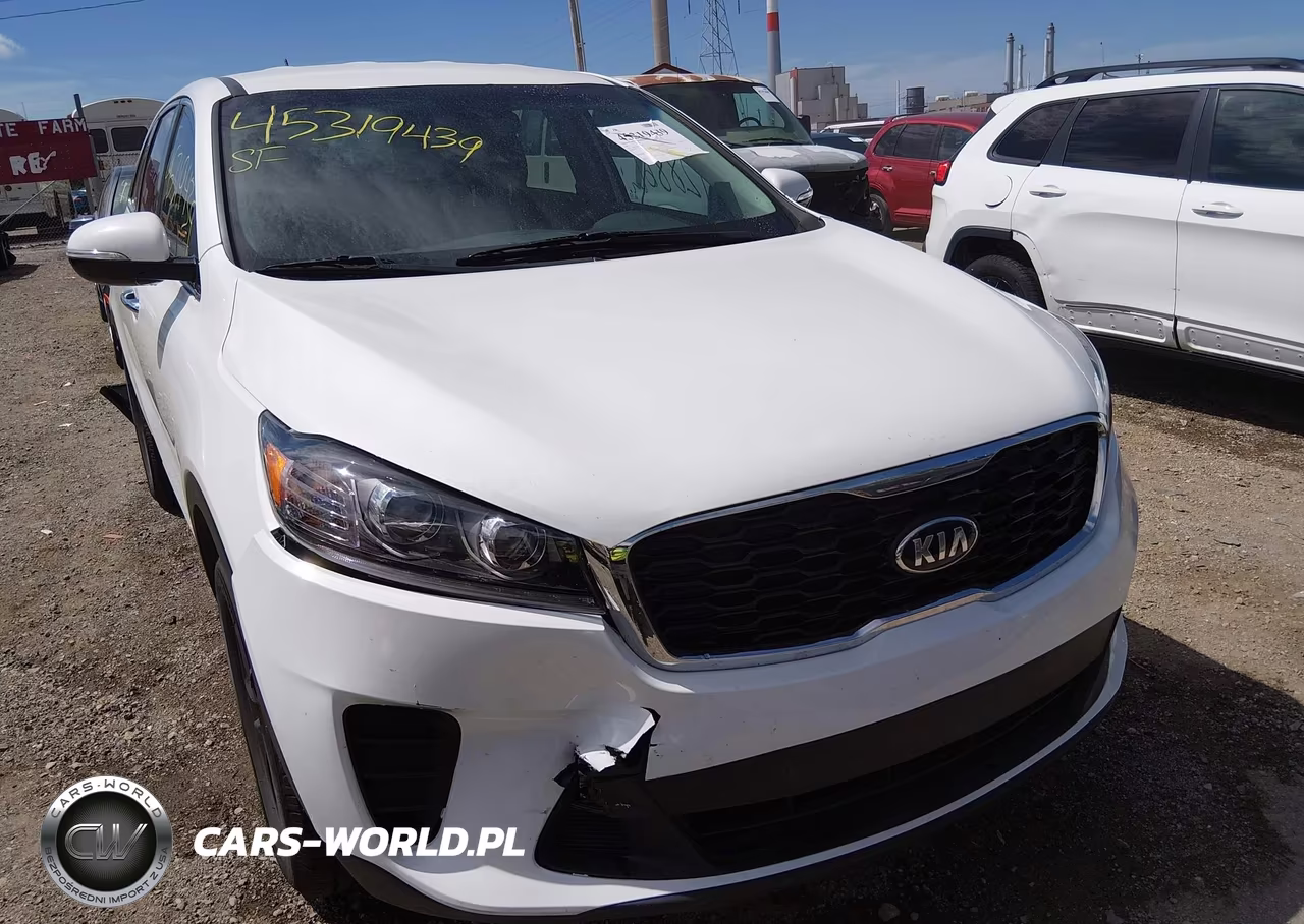 2019 Kia Sorento 2.4L Lx VIN:5XYPG4A32KG576275 - 17