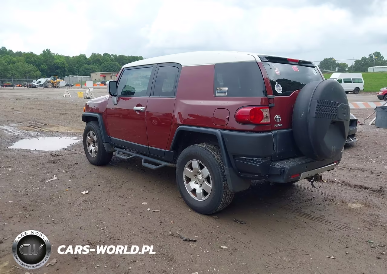 2010 Toyota Fj Cruiser VIN:JTEBU4BF2AK089688 - 3