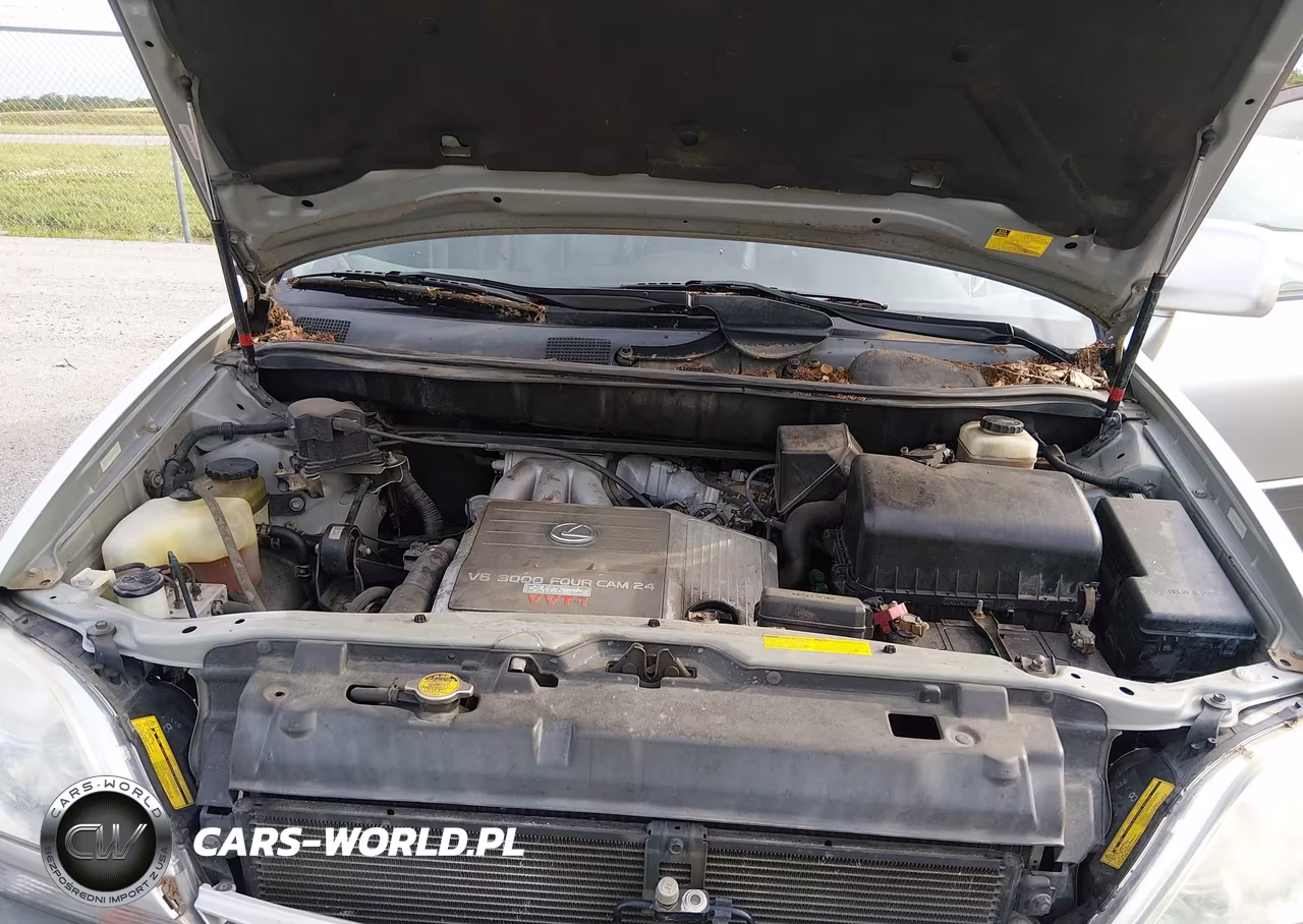 2001 Lexus Rx 300 VIN:JTJHF10U410204714 - 10