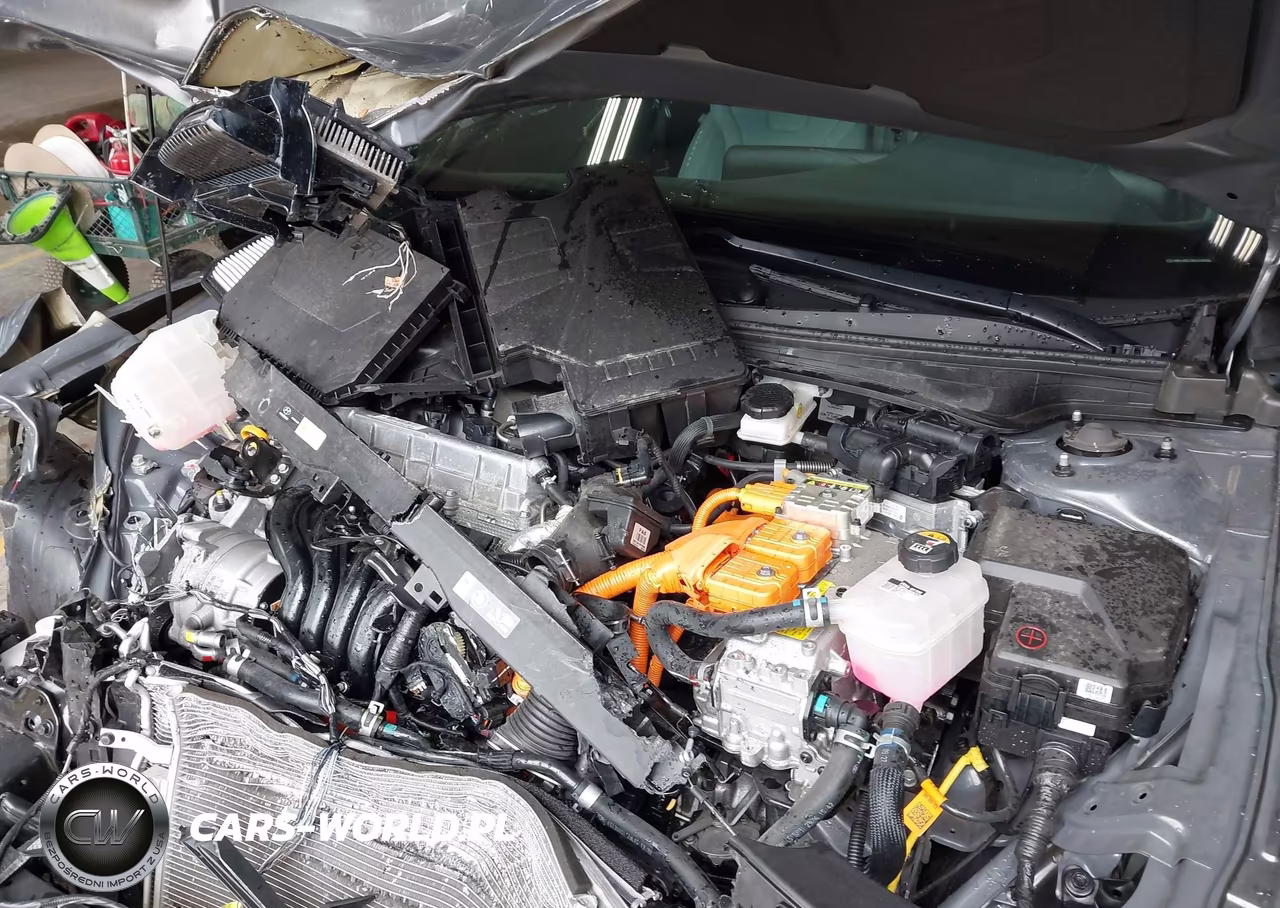 2024 Hyundai Elantra Hybrid Limited VIN:KMHLN4DJ9RU104092 - 10