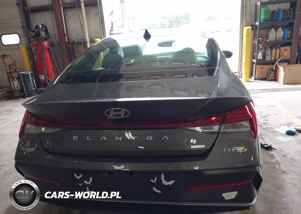 2024 Hyundai Elantra Hybrid Limited VIN:KMHLN4DJ9RU104092 - 16