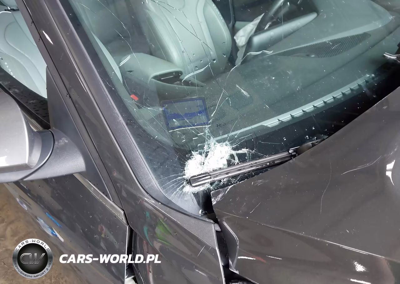 2024 Hyundai Elantra Hybrid Limited VIN:KMHLN4DJ9RU104092 - 6