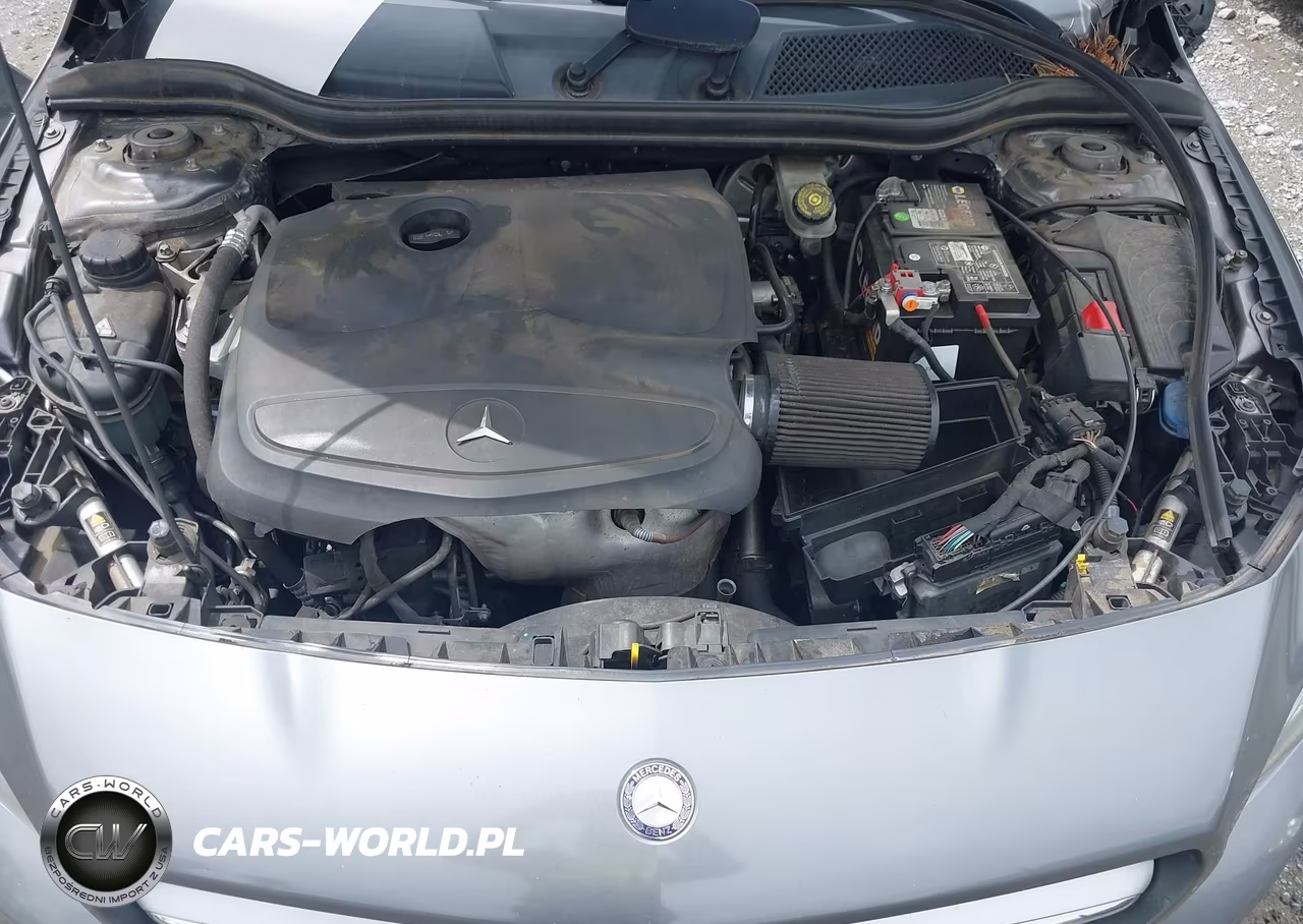 2014 Mercedes-Benz Cla 250 VIN:WDDSJ4EB9EN156092 - 10