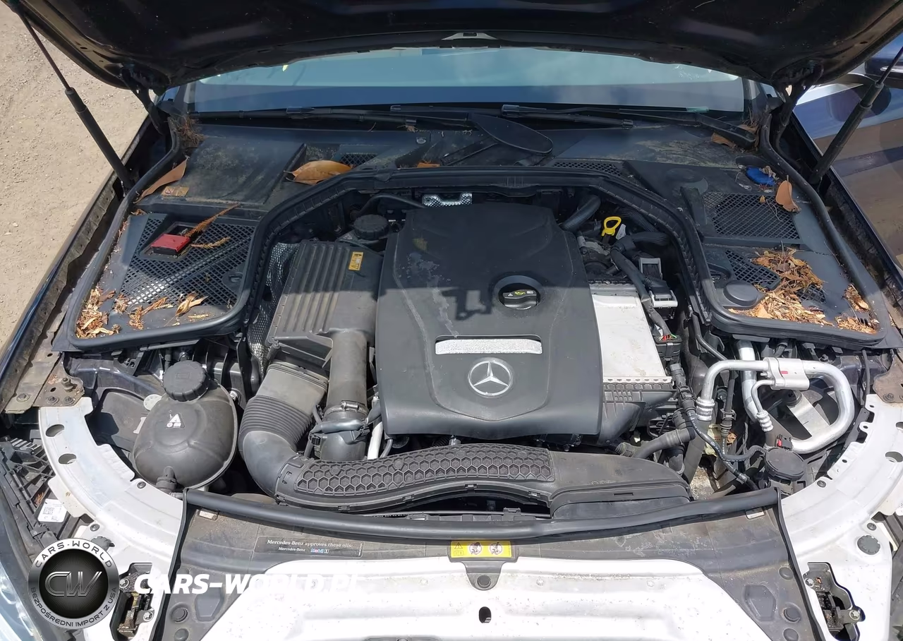 2015 Mercedes-Benz C 300 4Matic VIN:55SWF4KB1FU078360 - 10
