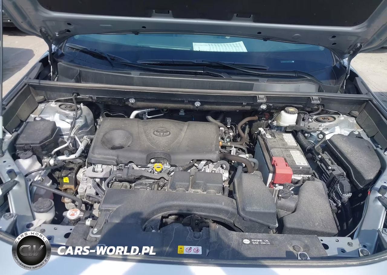 2025 Toyota Rav4 Xle VIN:2T3P1RFV1SW504199 - 10