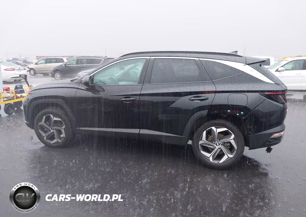 2023 Hyundai Tucson Sel VIN:5NMJFCAE0PH228251 - 14