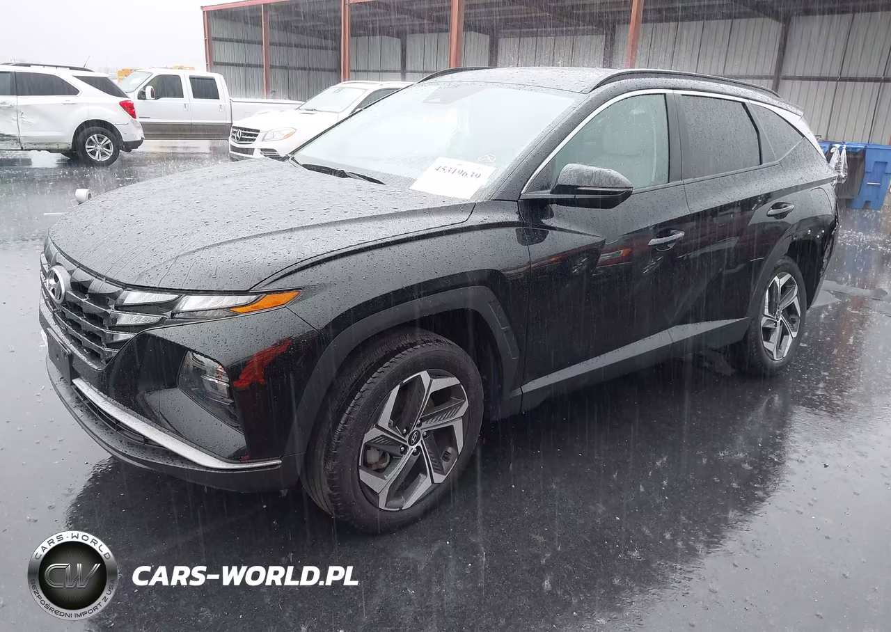 2023 Hyundai Tucson Sel VIN:5NMJFCAE0PH228251 - 2