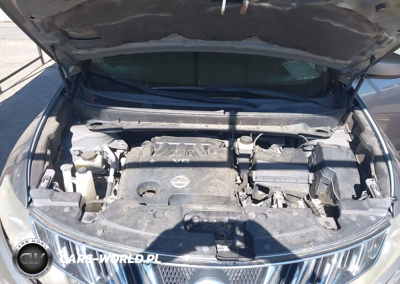 2010 Nissan Murano Sl VIN:JN8AZ1MW9AW104519 - 10