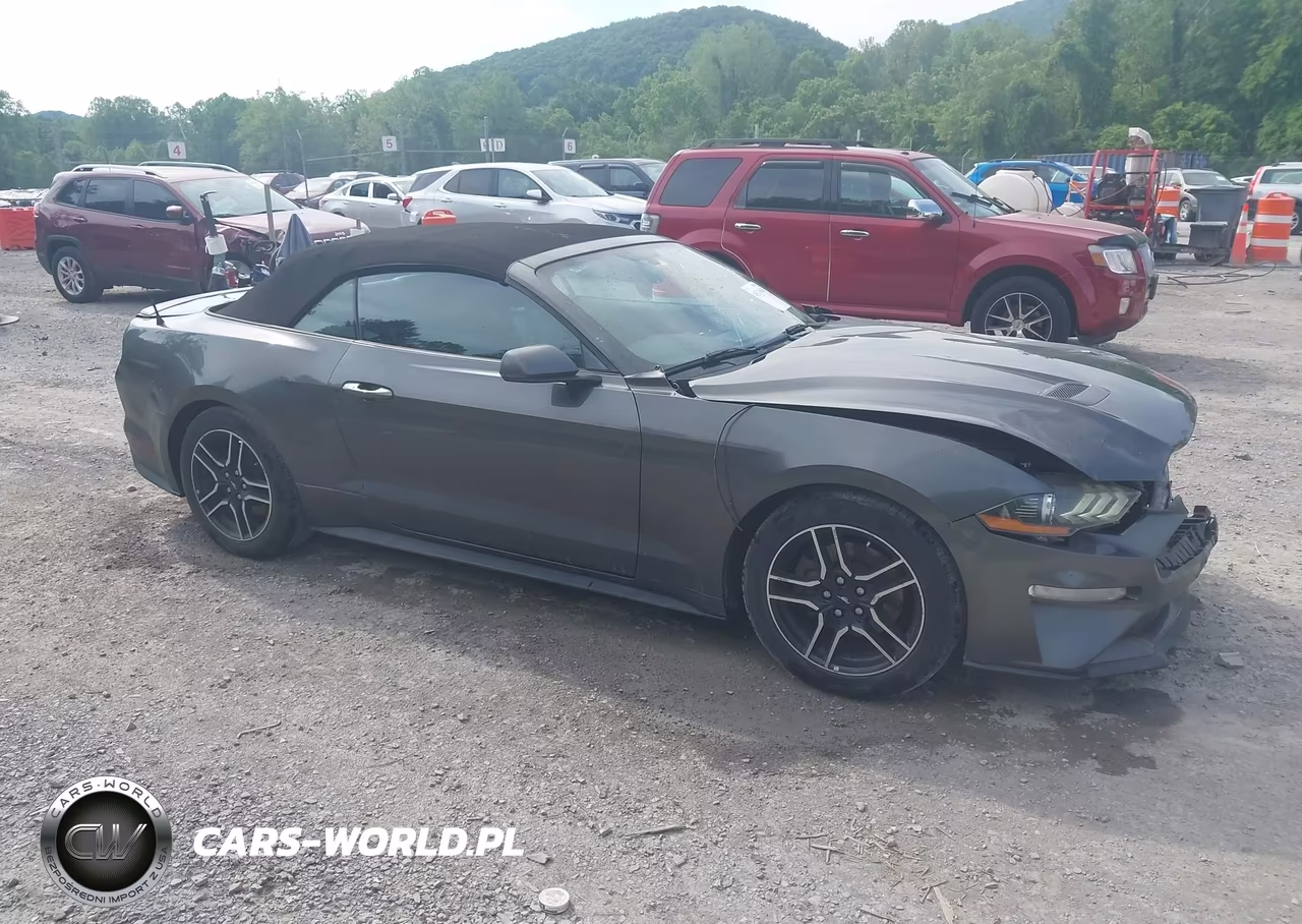 2019 Ford Mustang Ecoboost Premium