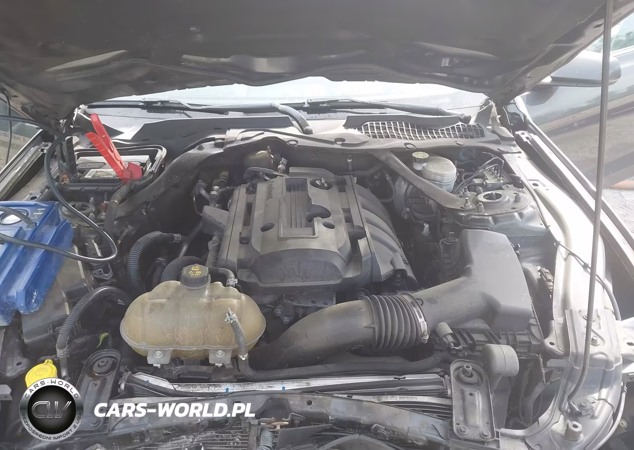 2019 Ford Mustang Ecoboost Premium VIN:1FATP8UH1K5104774 - 10