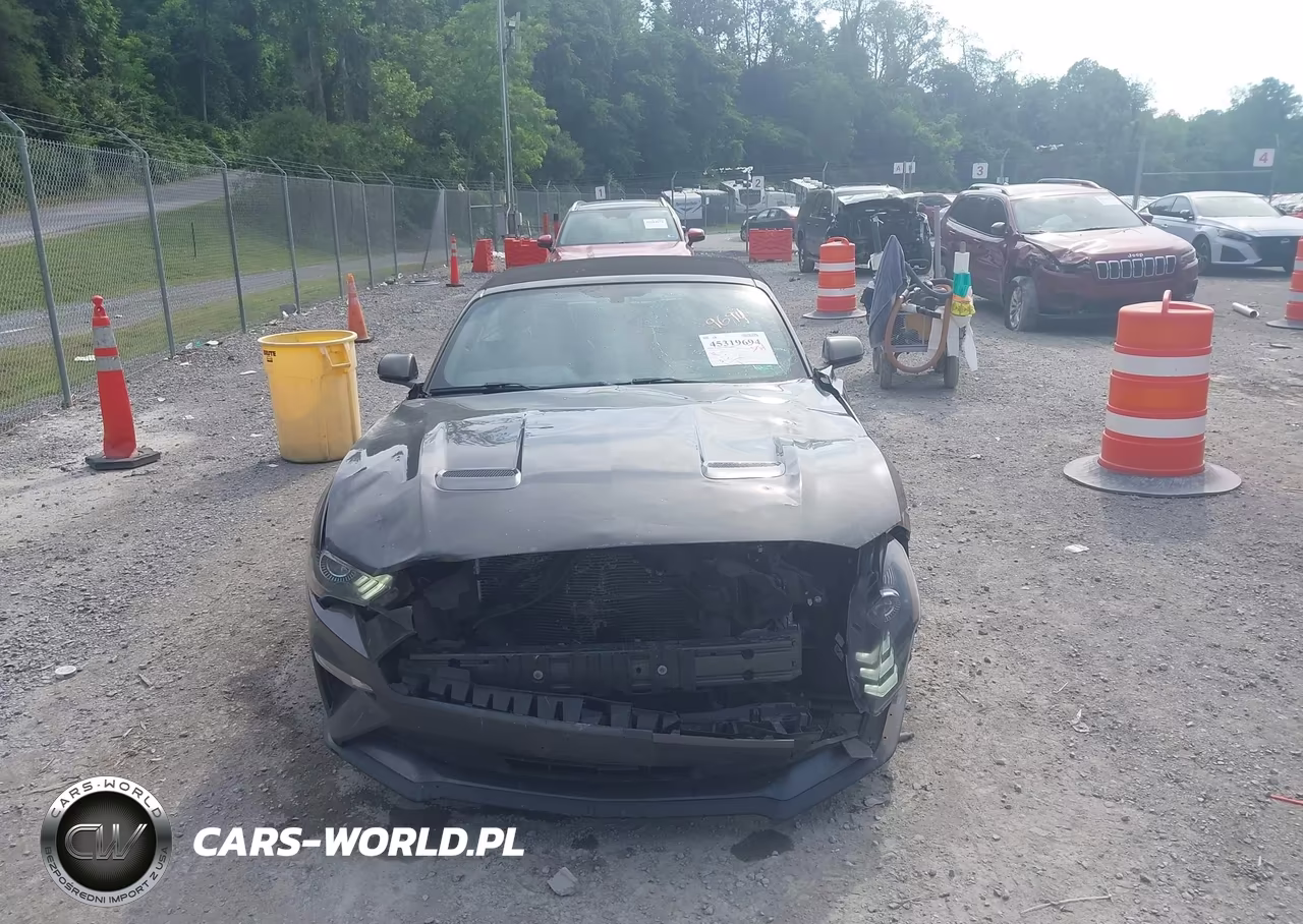 2019 Ford Mustang Ecoboost Premium VIN:1FATP8UH1K5104774 - 12