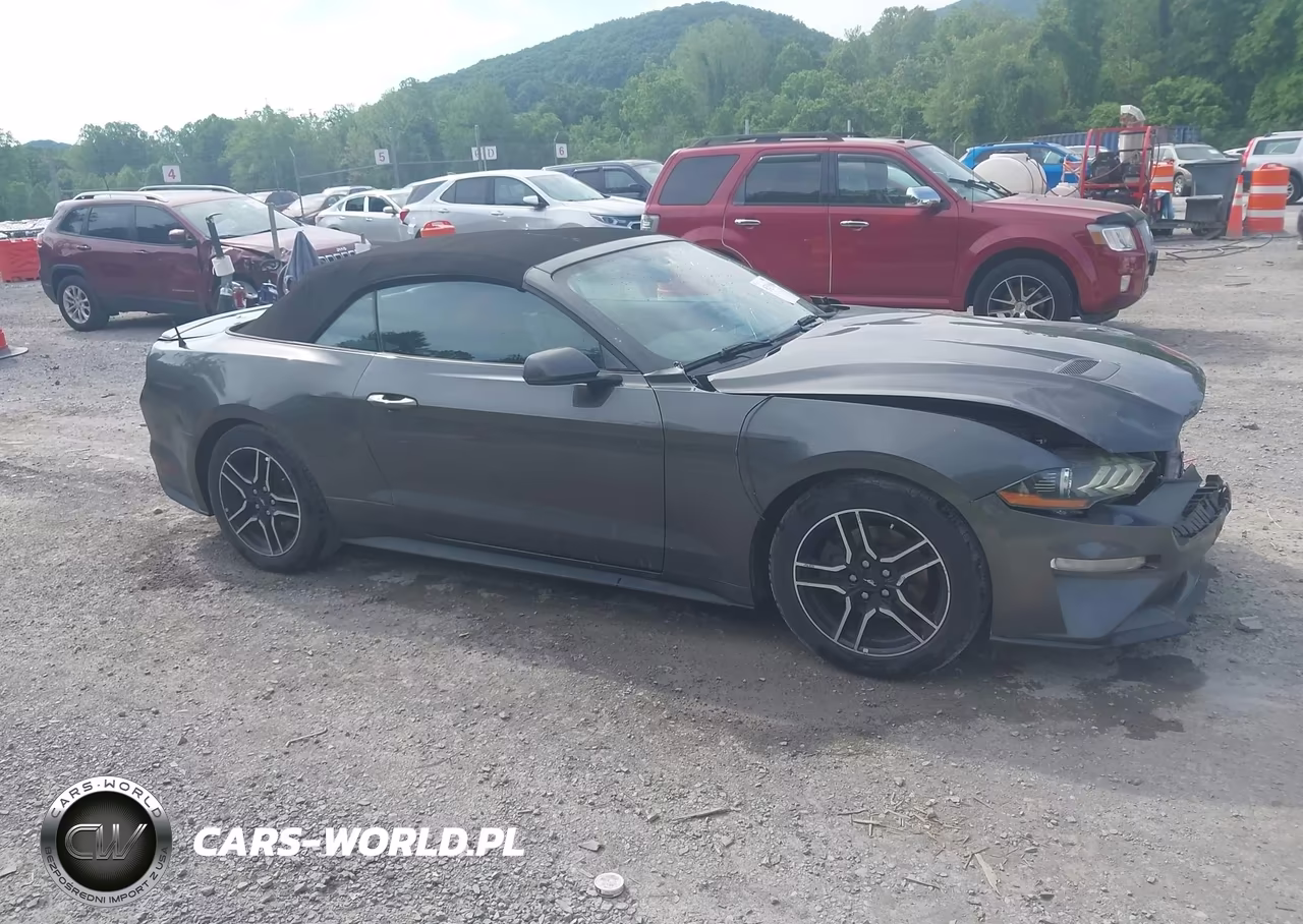 2019 Ford Mustang Ecoboost Premium VIN:1FATP8UH1K5104774 - 13