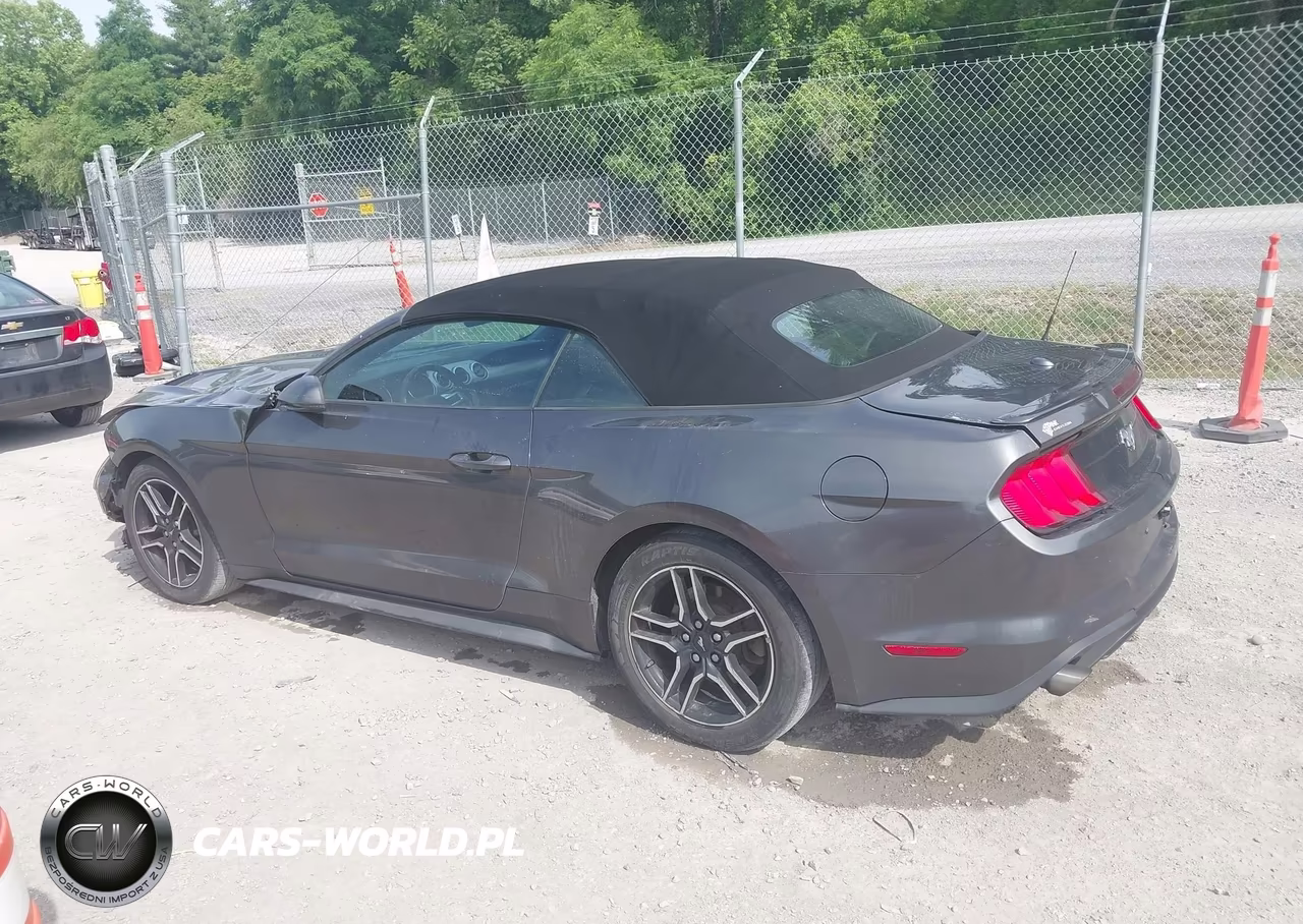 2019 Ford Mustang Ecoboost Premium VIN:1FATP8UH1K5104774 - 14